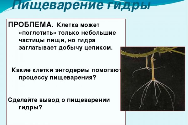 Кракен ссылка на сайт