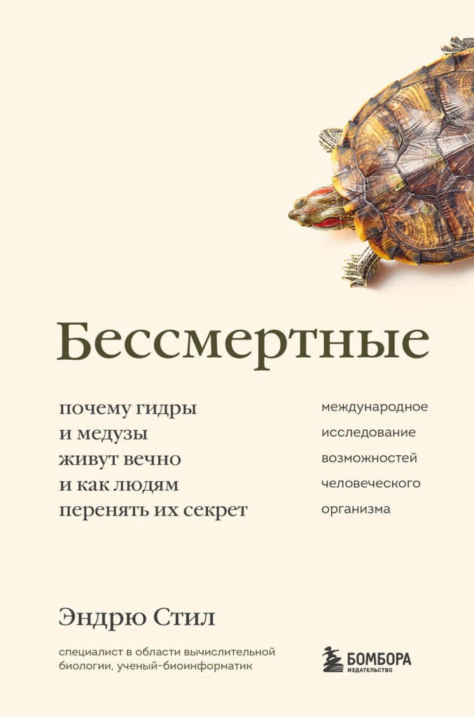 Kraken whitenet market зеркало